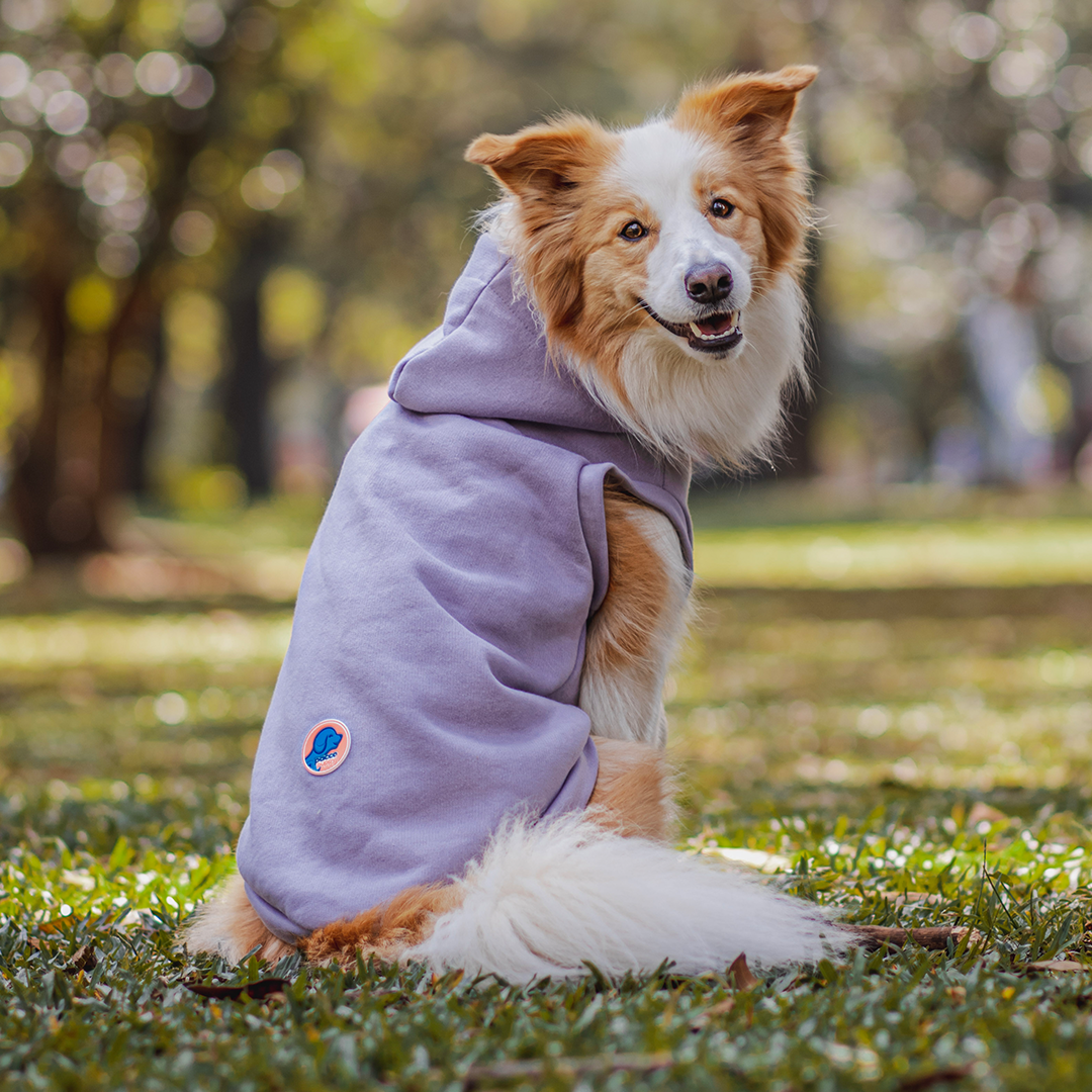 Roupa para Cachorro Moletom Vento Sul Lilás