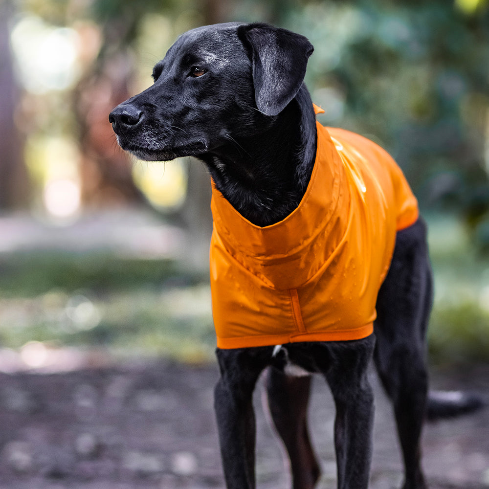 Capa de Chuva para Cachorro Lotus Laranja