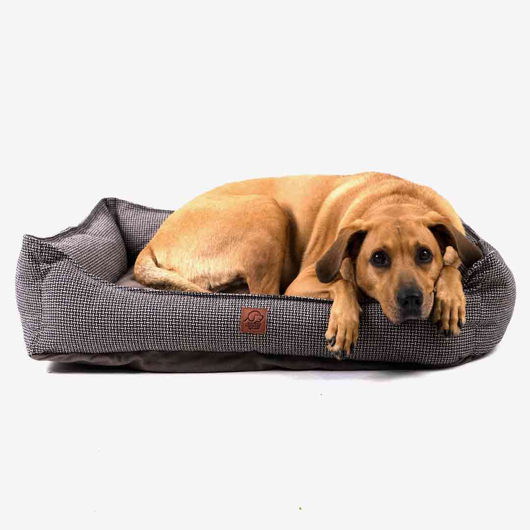 Cama para Cachorro Retangular Bioma Pantanal