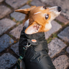 Capa de Chuva para Cachorro Lotus Verde