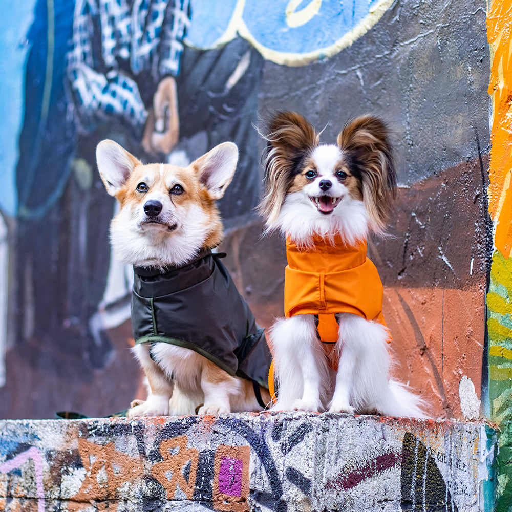 Capa de Chuva para Cachorro Lotus Laranja