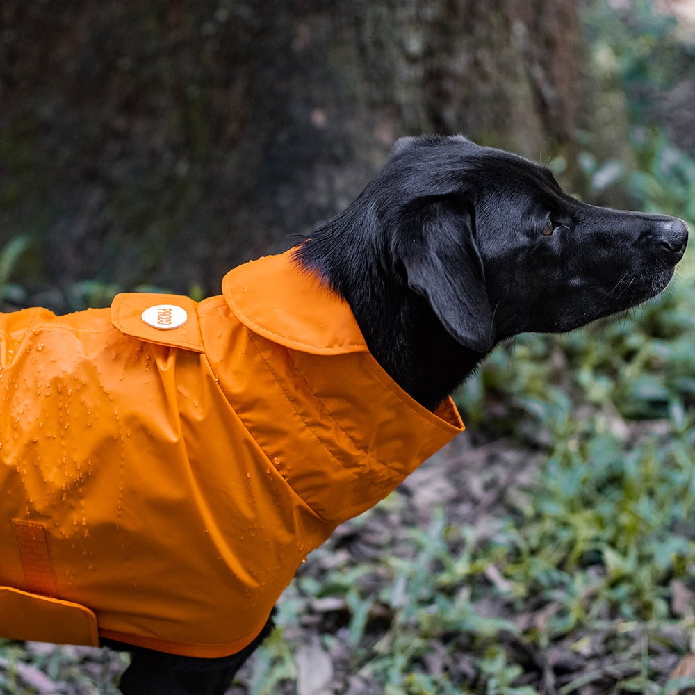 Capa de Chuva para Cachorro Lotus Laranja