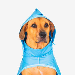 Capa de Chuva para Cachorro Auventureiro Noronha