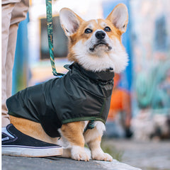 Capa de Chuva para Cachorro Lotus Verde