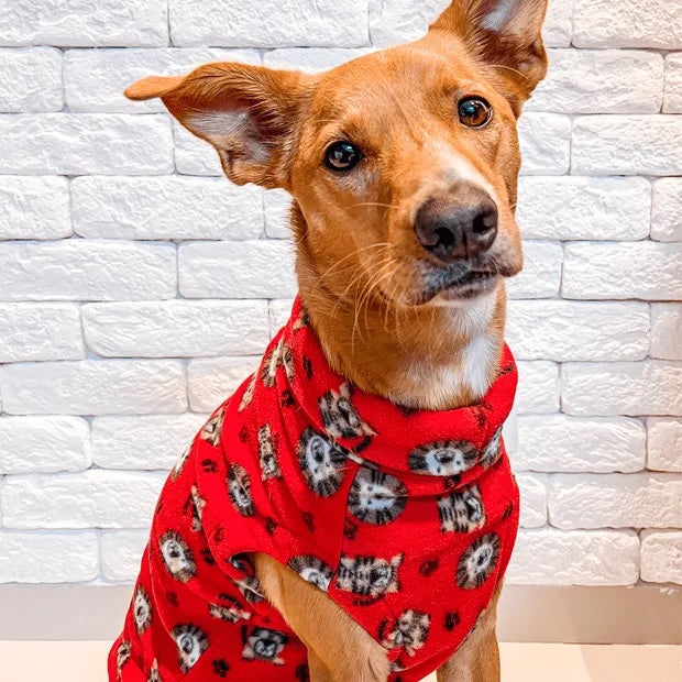 Roupa para Cachorro Suéter Fauna Safári Vermelho