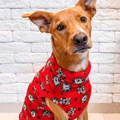 Roupa para Cachorro Suéter Fauna Safári Vermelho