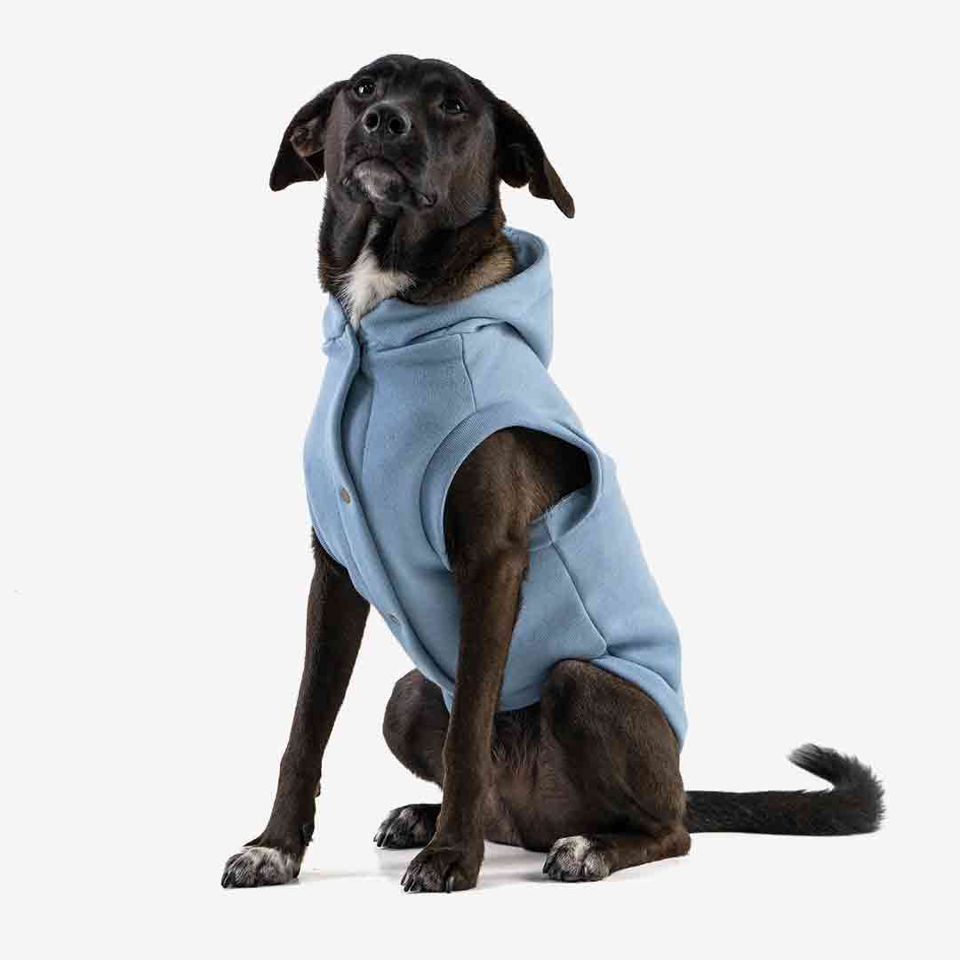 Roupa para Cachorro Moletom Vento Sul Azul Denim