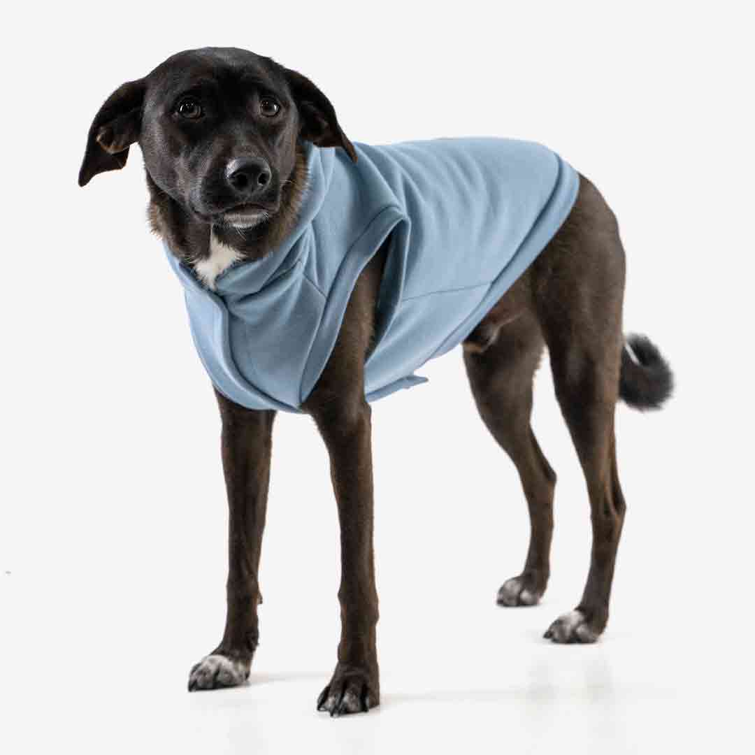 Roupa para Cachorro Moletom Vento Sul Azul Denim