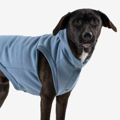 Roupa para Cachorro Moletom Vento Sul Azul Denim