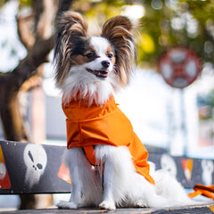 Capa de Chuva para Cachorro Lotus Laranja