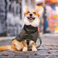 Capa de Chuva para Cachorro Lotus Verde