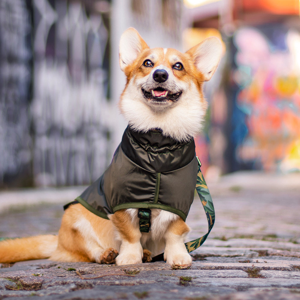 Capa de Chuva para Cachorro Lotus Verde