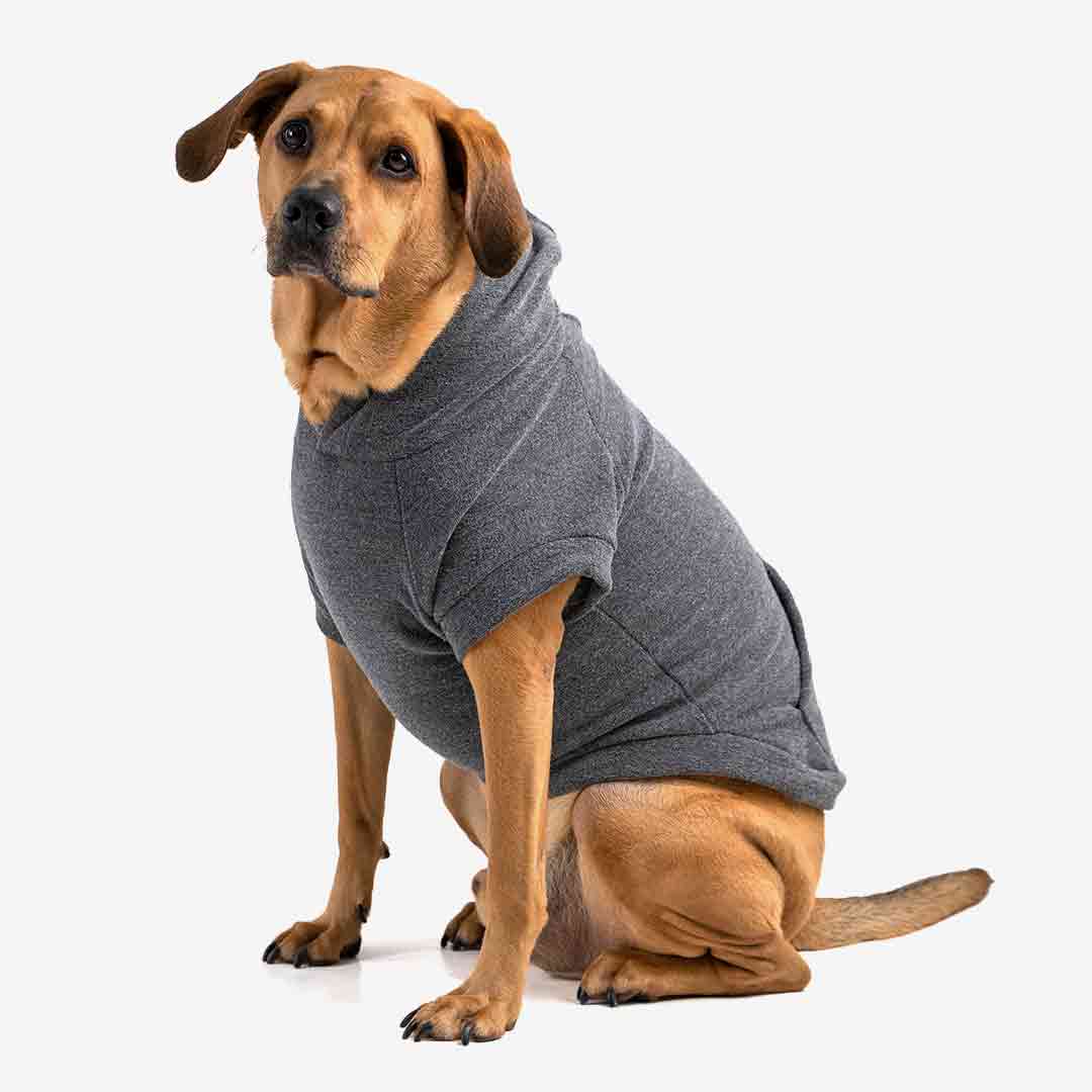 Roupa para Cachorro Blusão Sampa Chumbo