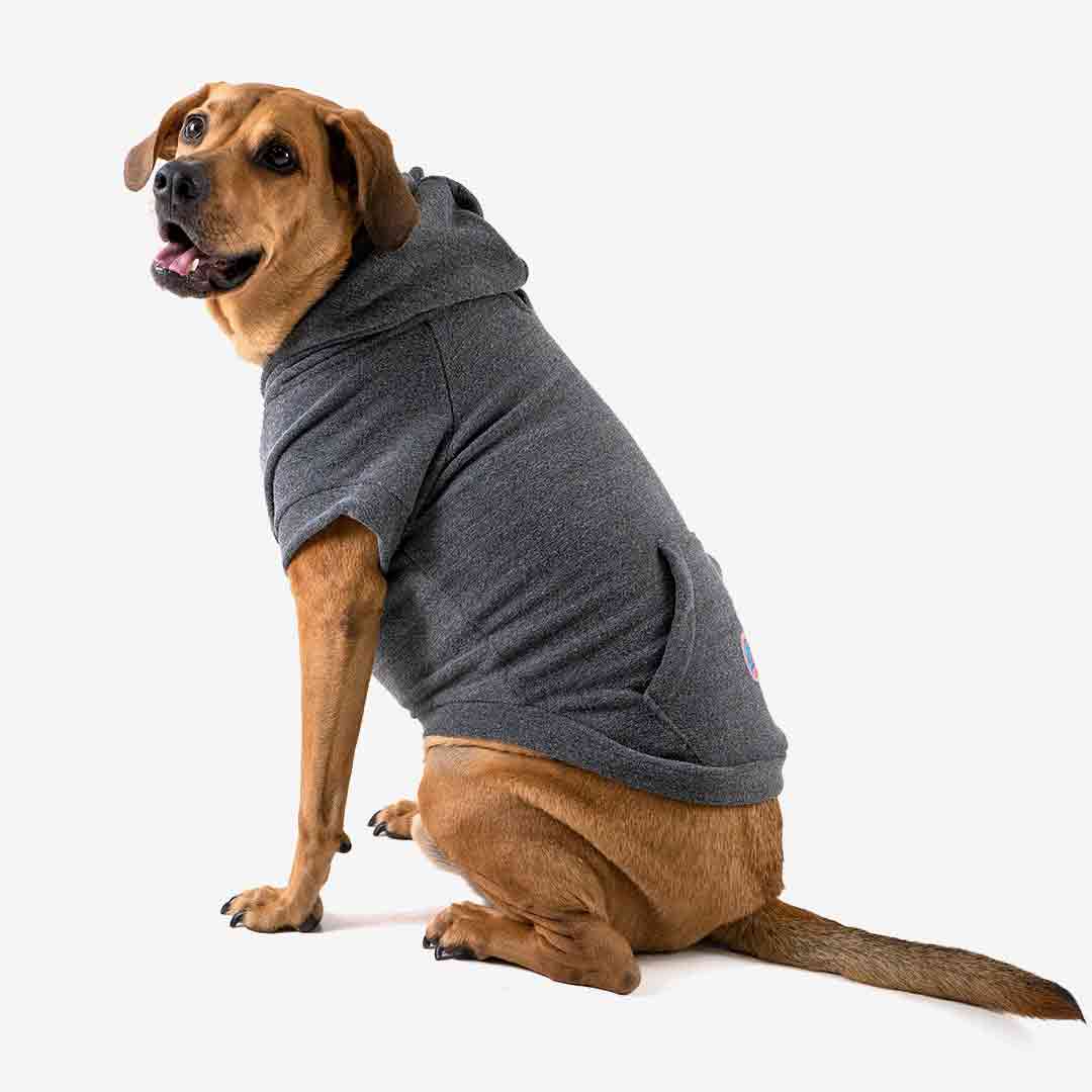 Roupa para Cachorro Blusão Sampa Chumbo