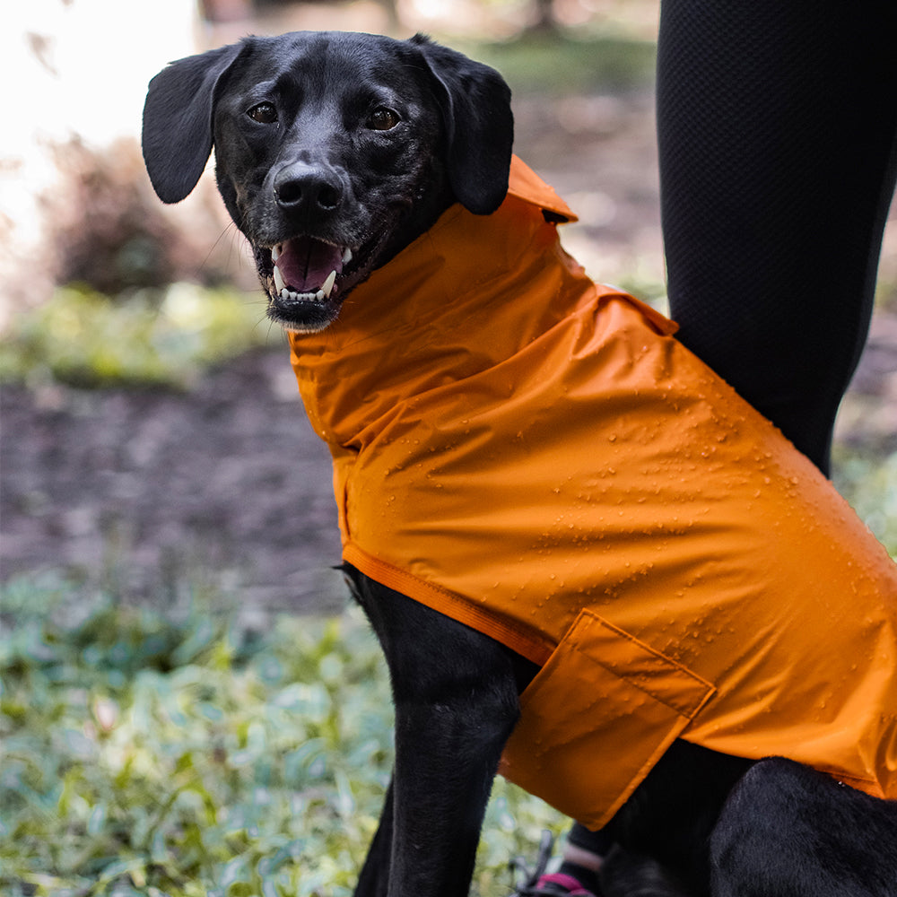 Capa de Chuva para Cachorro Lotus Laranja