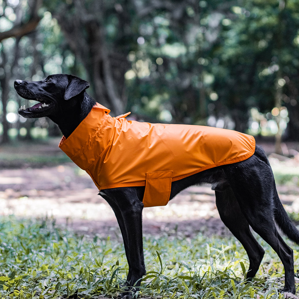 Capa de Chuva para Cachorro Lotus Laranja