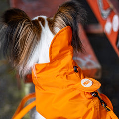 Capa de Chuva para Cachorro Lotus Laranja