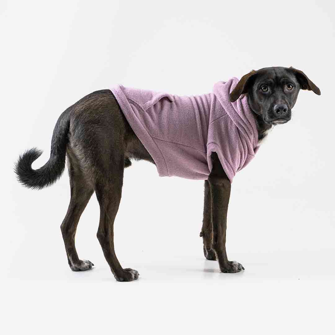 Roupa para Cachorro Blusão Sampa Lilás