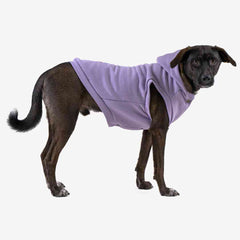 Roupa para Cachorro Moletom Vento Sul Lilás