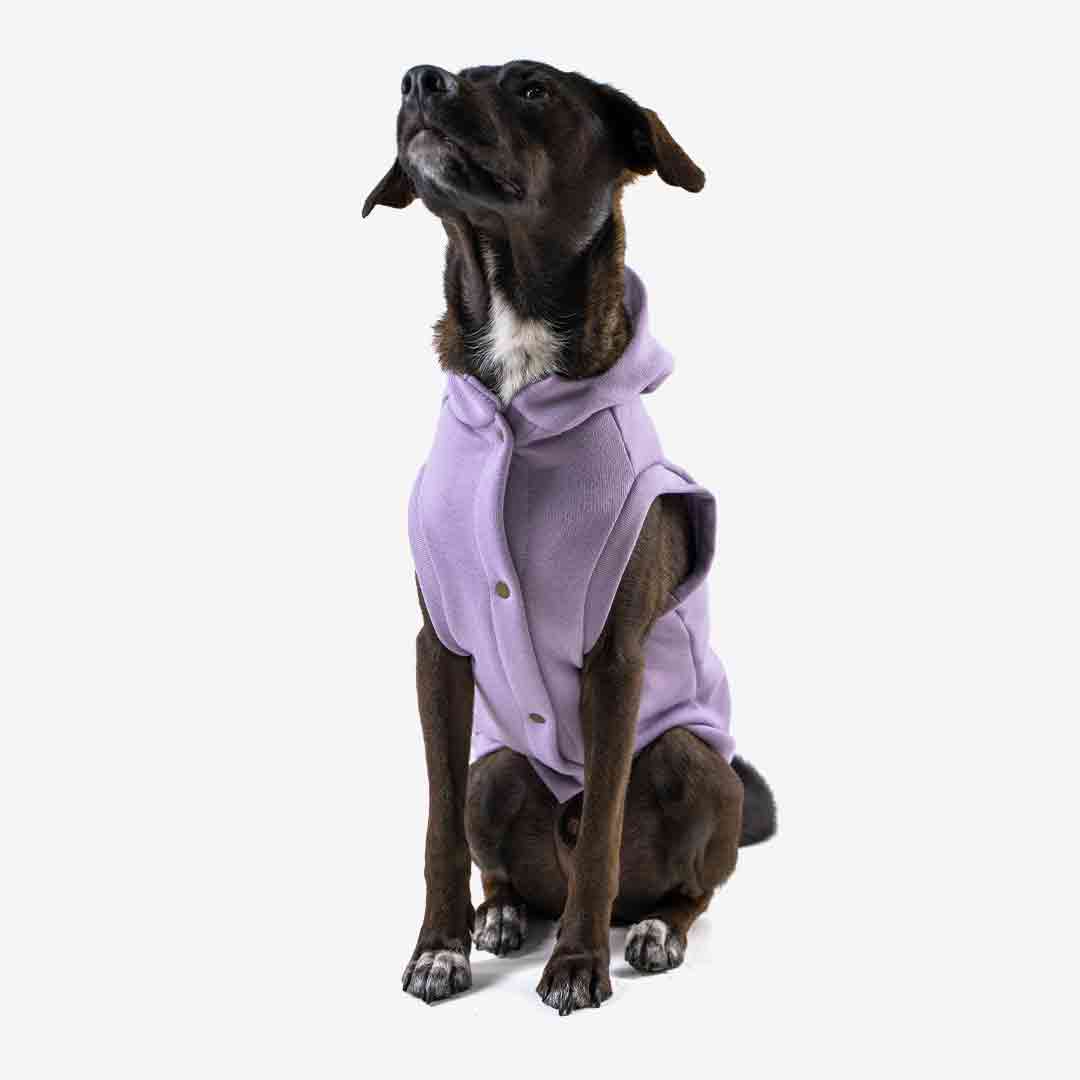 Roupa para Cachorro Moletom Vento Sul Lilás