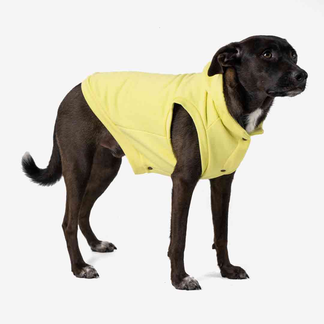 Roupa para Cachorro Moletom Vento Sul Melão