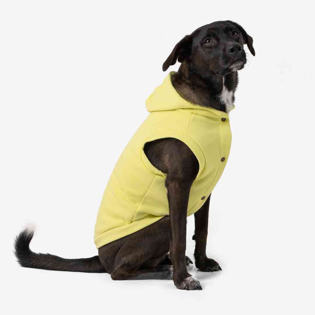 Roupa para Cachorro Moletom Vento Sul Melão