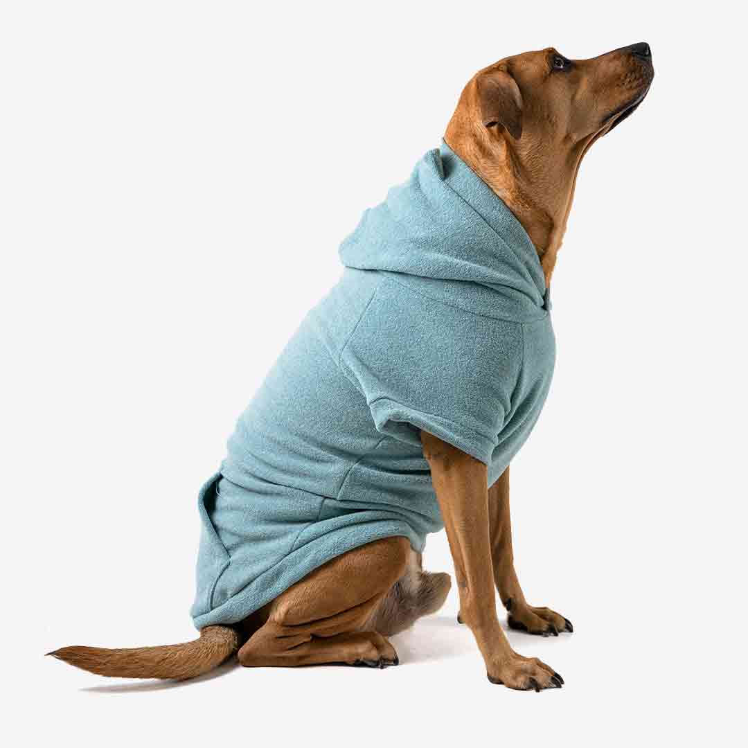 Roupa para Cachorro Blusão Sampa Verde