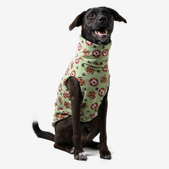 Roupa para Cachorro Suéter Fauna Safári Verde