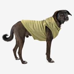 Roupa para Cachorro Moletom Vento Sul Pistache