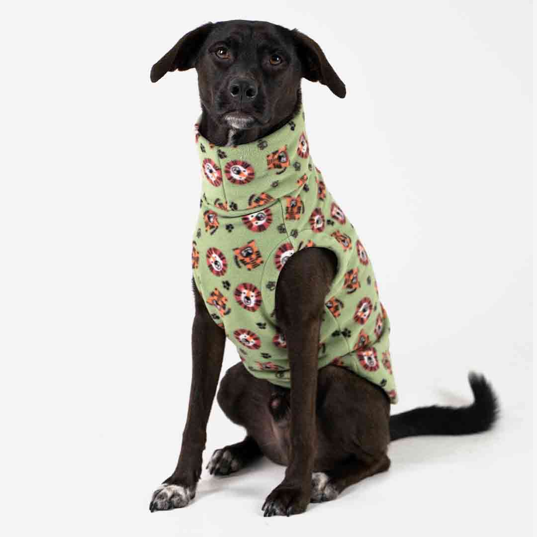 Roupa para Cachorro Suéter Fauna Safári Verde