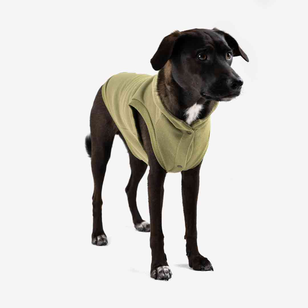 Roupa para Cachorro Moletom Vento Sul Pistache