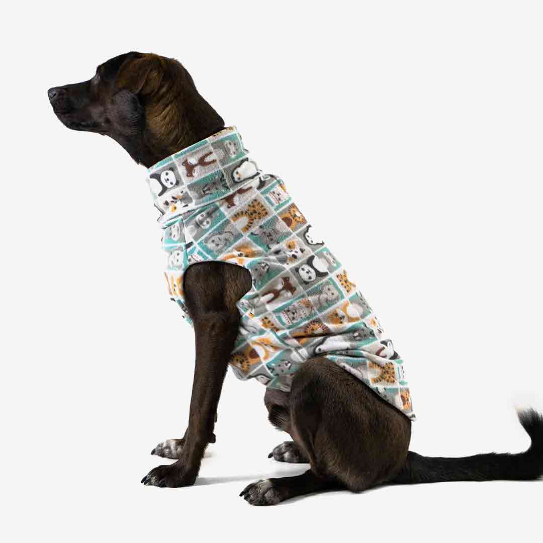 Roupa para Cachorro Suéter Fauna Silvestre Verde Claro